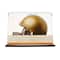 Mini Helmet Display Case by Studio Décor®